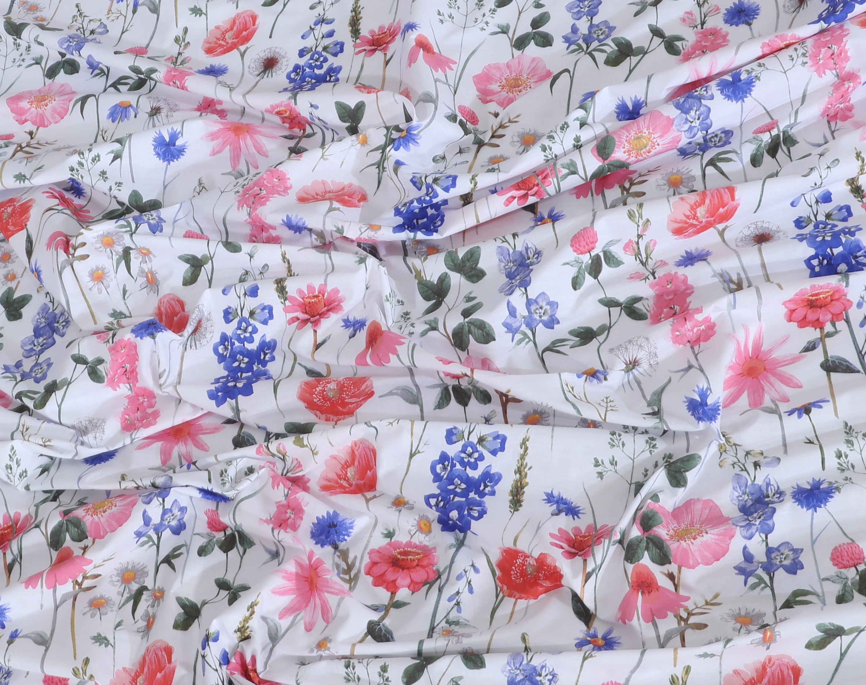 Cotton BedSheet Design BS-434