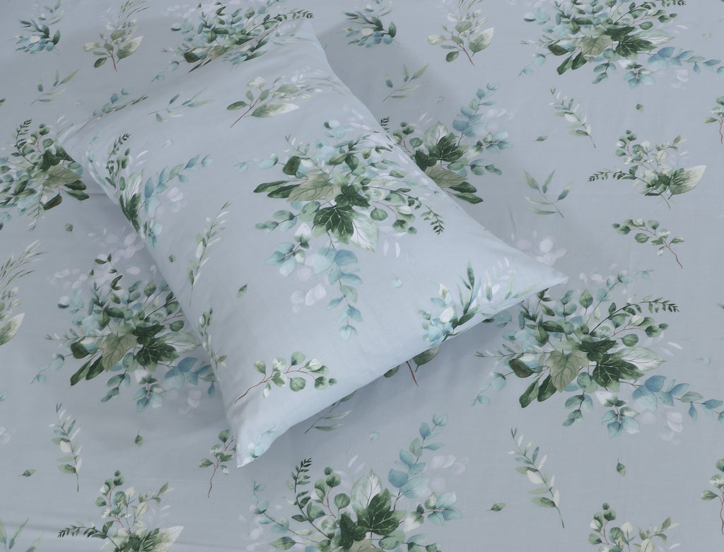 Cotton BedSheet Design BS-436