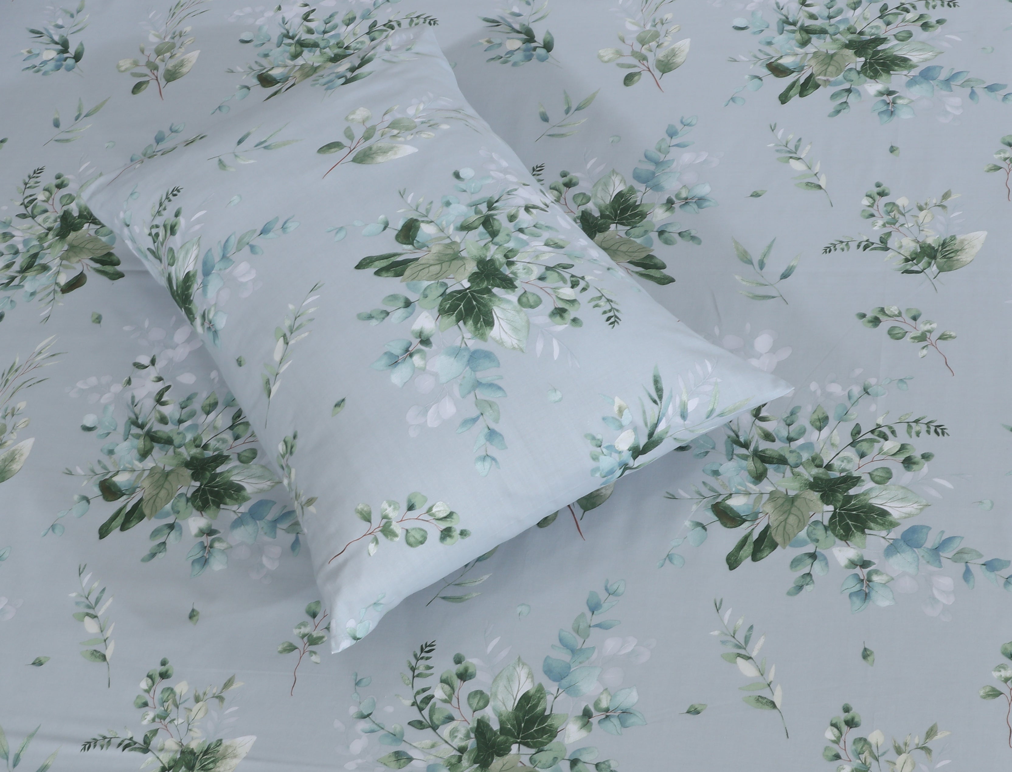 Cotton BedSheet Design BS-436