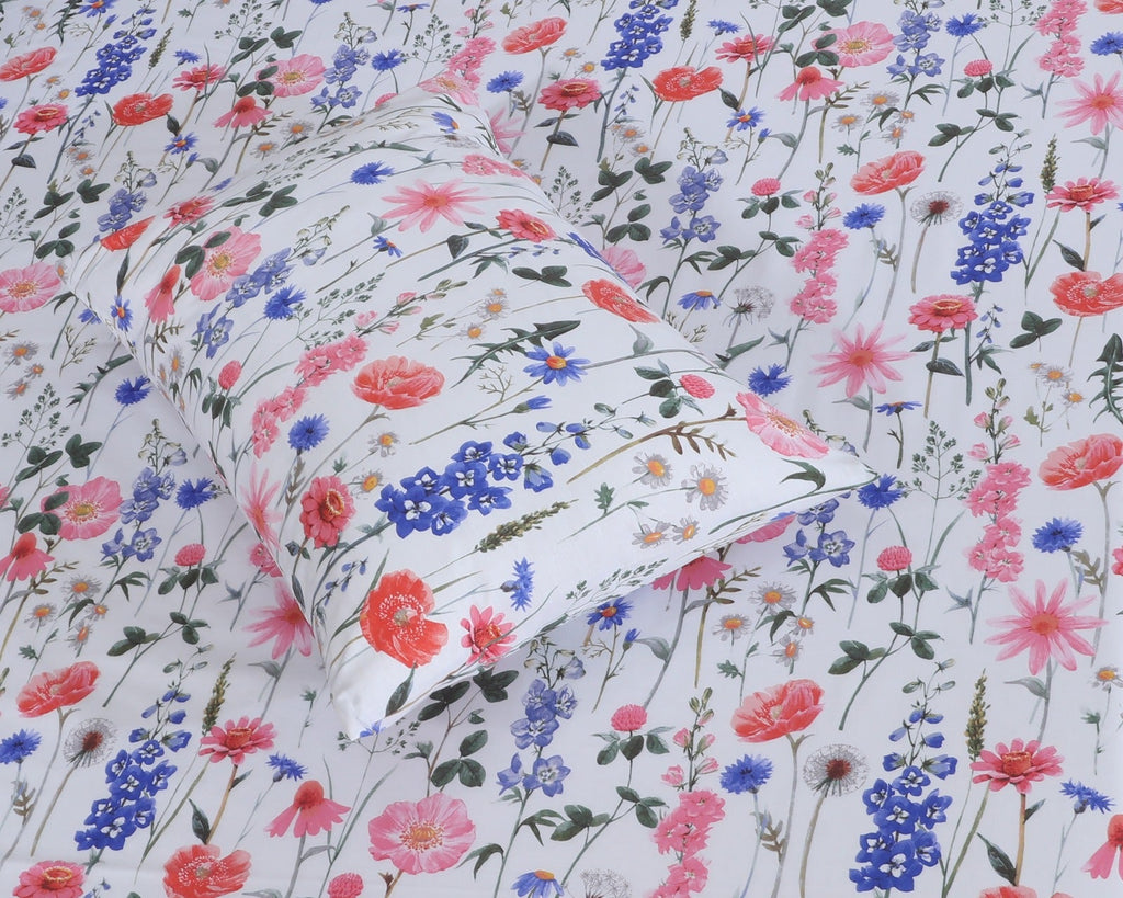 Cotton BedSheet Design BS-434