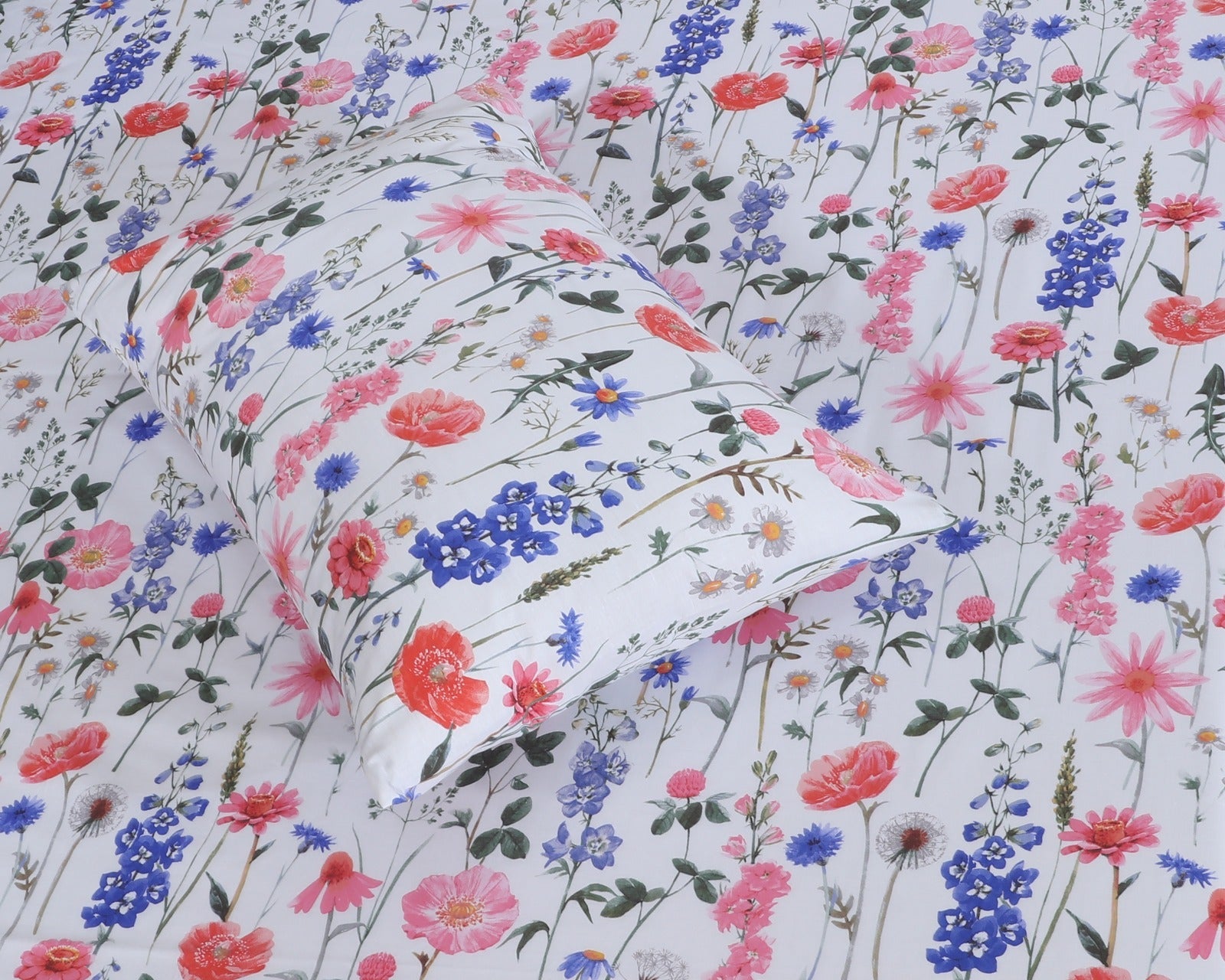 Cotton BedSheet Design BS-434