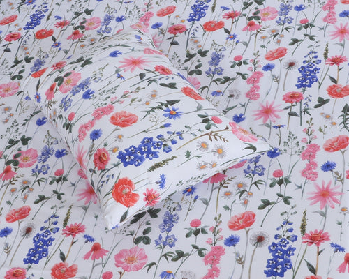 Cotton BedSheet Design BS-434